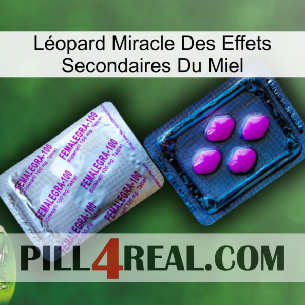 Léopard Miracle Des Effets Secondaires Du Miel 37.jpg